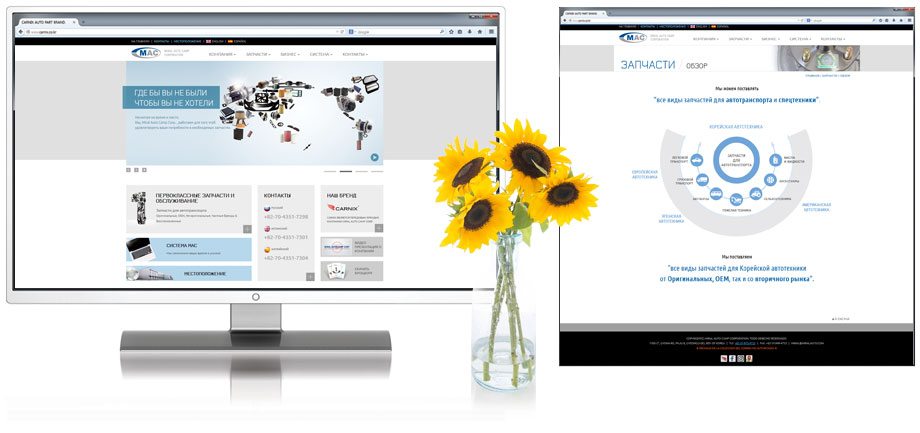 Russian Website Launching