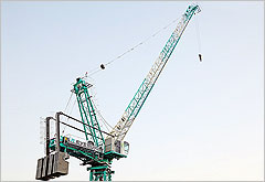 Everdigm Tower Crane - Luffing type