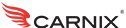 CARNIX logo